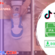 BHTiktok Plus IPA
